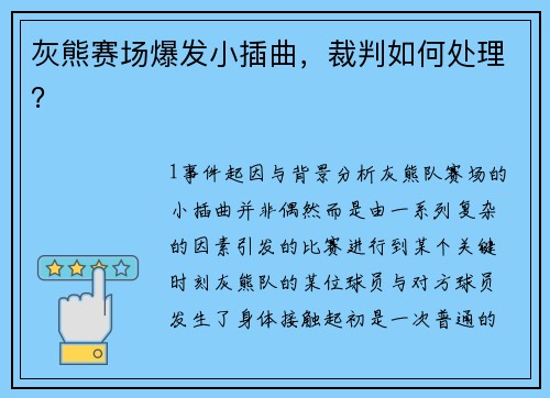 灰熊赛场爆发小插曲，裁判如何处理？